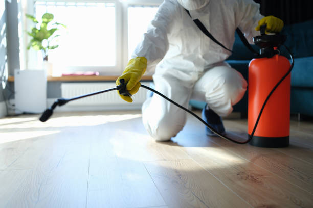 Reliable Odor Removal contractor in Eldorado, IL by Trauma Clean Pros